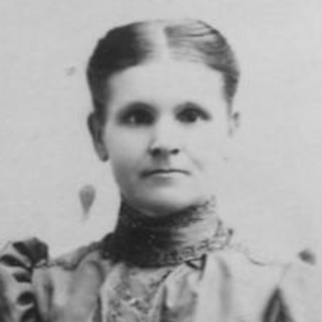 Mary Ann Davies (1858 - 1910) Profile